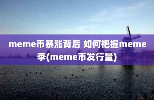 meme币暴涨背后 如何把握meme季(meme币发行量)