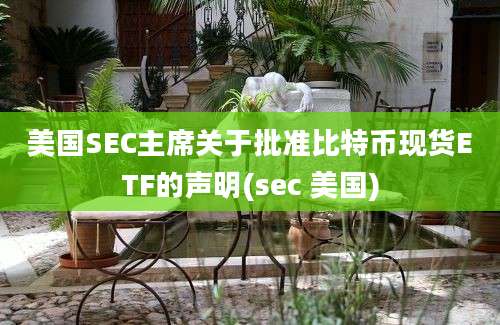 美国SEC主席关于批准比特币现货ETF的声明(sec 美国)