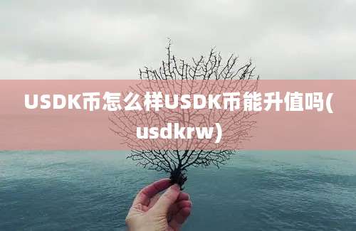 USDK币怎么样USDK币能升值吗(usdkrw)