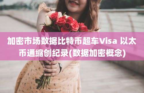 加密市场数据比特币超车Visa 以太币通缩创纪录(数据加密概念)