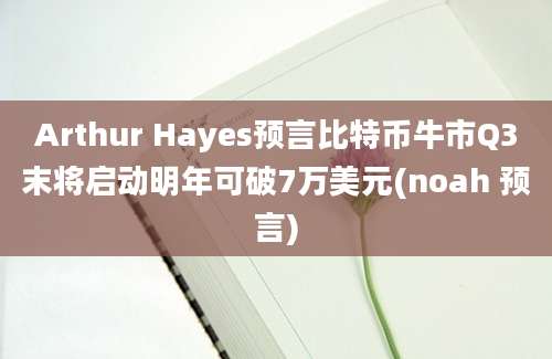 Arthur Hayes预言比特币牛市Q3末将启动明年可破7万美元(noah 预言)