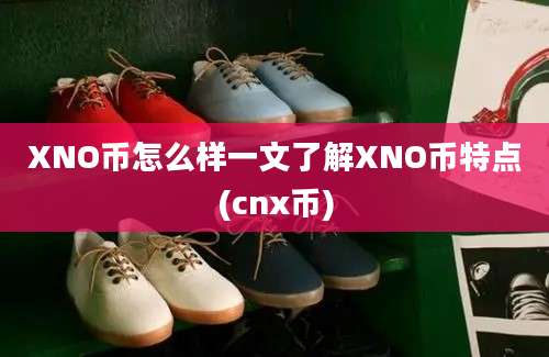 XNO币怎么样一文了解XNO币特点(cnx币)