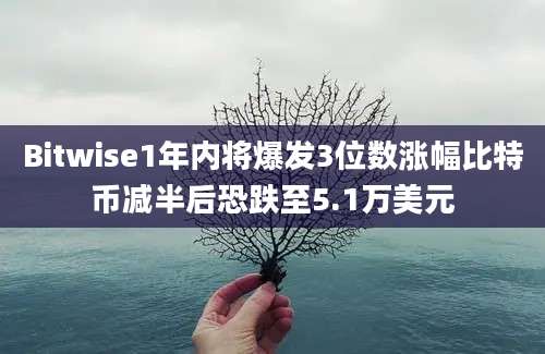 Bitwise1年内将爆发3位数涨幅比特币减半后恐跌至5.1万美元