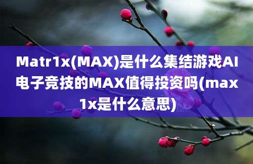 Matr1x(MAX)是什么集结游戏AI电子竞技的MAX值得投资吗(max1x是什么意思)