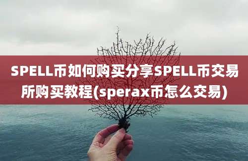 SPELL币如何购买分享SPELL币交易所购买教程(sperax币怎么交易)