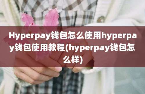 Hyperpay钱包怎么使用hyperpay钱包使用教程(hyperpay钱包怎么样)