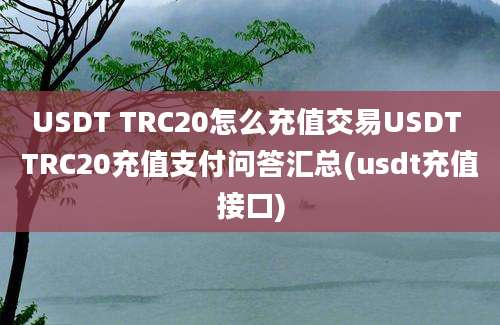 USDT TRC20怎么充值交易USDT TRC20充值支付问答汇总(usdt充值接口)