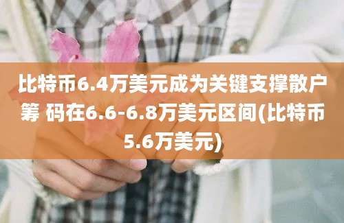 比特币6.4万美元成为关键支撑散户筹 码在6.6-6.8万美元区间(比特币5.6万美元)