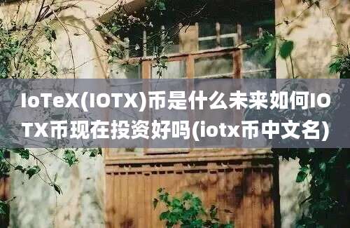 IoTeX(IOTX)币是什么未来如何IOTX币现在投资好吗(iotx币中文名)