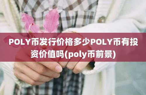 POLY币发行价格多少POLY币有投资价值吗(poly币前景)