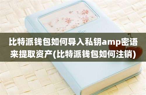 比特派钱包如何导入私钥amp密语来提取资产(比特派钱包如何注销)