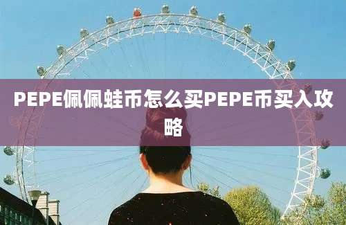 PEPE佩佩蛙币怎么买PEPE币买入攻略