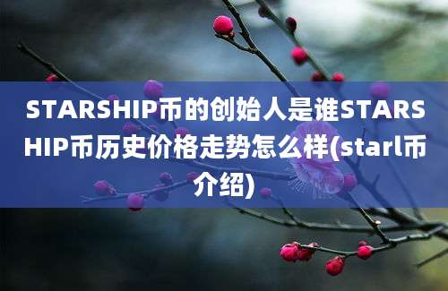 STARSHIP币的创始人是谁STARSHIP币历史价格走势怎么样(starl币介绍)