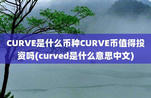 CURVE是什么币种CURVE币值得投资吗(curved是什么意思中文)