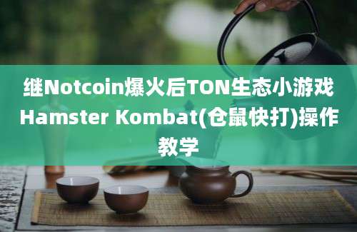 继Notcoin爆火后TON生态小游戏Hamster Kombat(仓鼠快打)操作教学