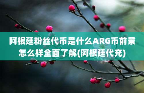 阿根廷粉丝代币是什么ARG币前景怎么样全面了解(阿根廷代充)