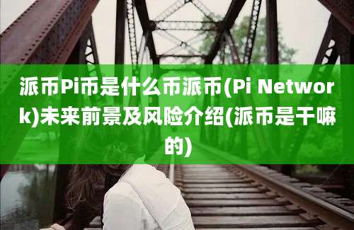 派币Pi币是什么币派币(Pi Network)未来前景及风险介绍(派币是干嘛的)