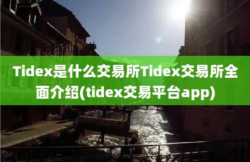 Tidex是什么交易所Tidex交易所全面介绍(tidex交易平台app)