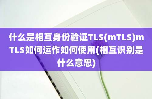 什么是相互身份验证TLS(mTLS)mTLS如何运作如何使用(相互识别是什么意思)