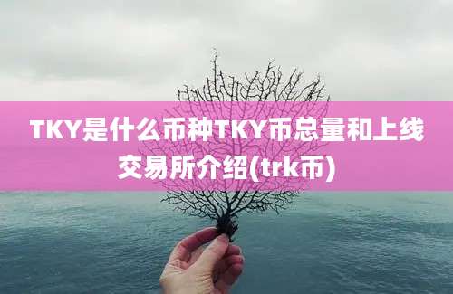 TKY是什么币种TKY币总量和上线交易所介绍(trk币)