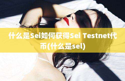 什么是Sei如何获得Sei Testnet代币(什么是sel)