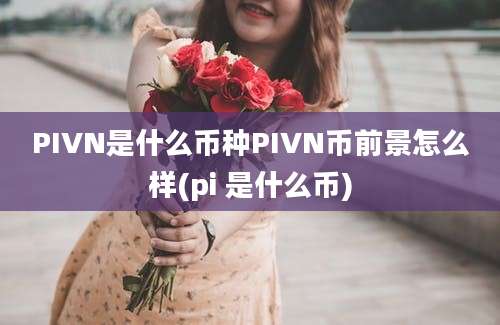 PIVN是什么币种PIVN币前景怎么样(pi 是什么币)