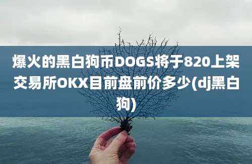 爆火的黑白狗币DOGS将于820上架交易所OKX目前盘前价多少(dj黑白狗)