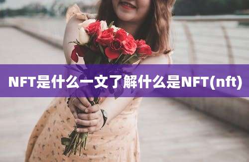 NFT是什么一文了解什么是NFT(nft)