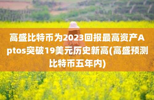 高盛比特币为2023回报最高资产Aptos突破19美元历史新高(高盛预测比特币五年内)