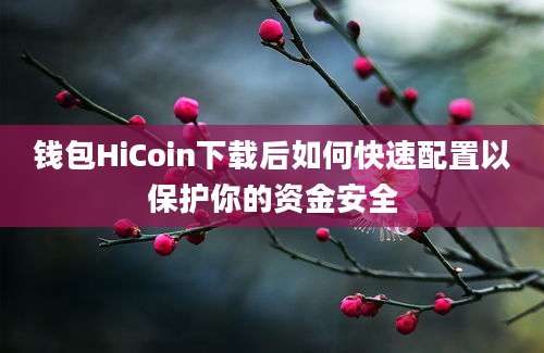 钱包HiCoin下载后如何快速配置以保护你的资金安全