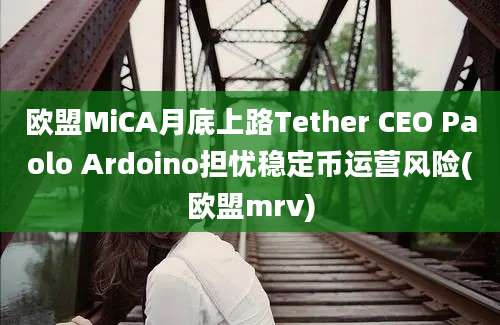 欧盟MiCA月底上路Tether CEO Paolo Ardoino担忧稳定币运营风险(欧盟mrv)