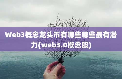 Web3概念龙头币有哪些哪些最有潜力(web3.0概念股)