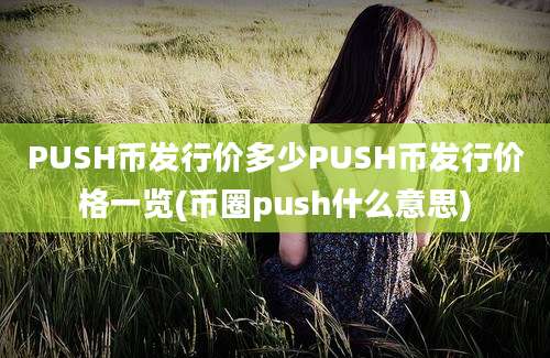 PUSH币发行价多少PUSH币发行价格一览(币圈push什么意思)