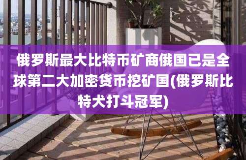 俄罗斯最大比特币矿商俄国已是全球第二大加密货币挖矿国(俄罗斯比特犬打斗冠军)