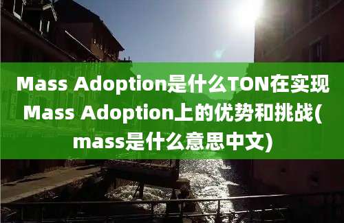 Mass Adoption是什么TON在实现Mass Adoption上的优势和挑战(mass是什么意思中文)