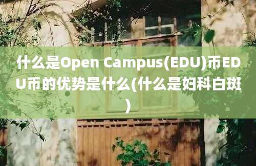 什么是Open Campus(EDU)币EDU币的优势是什么(什么是妇科白斑)