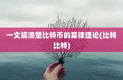 一文搞清楚比特币的幂律理论(比特比特)