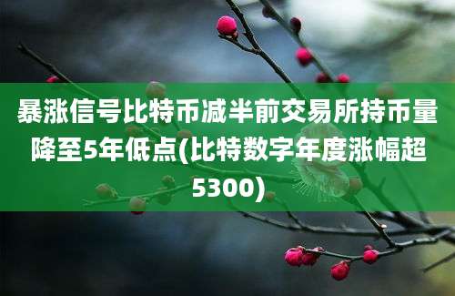 暴涨信号比特币减半前交易所持币量降至5年低点(比特数字年度涨幅超5300)