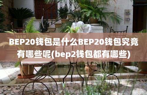 BEP20钱包是什么BEP20钱包究竟有哪些呢(bep2钱包都有哪些)