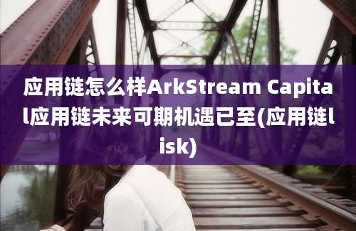 应用链怎么样ArkStream Capital应用链未来可期机遇已至(应用链lisk)