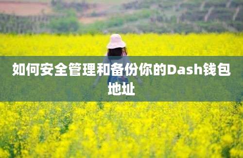 如何安全管理和备份你的Dash钱包地址