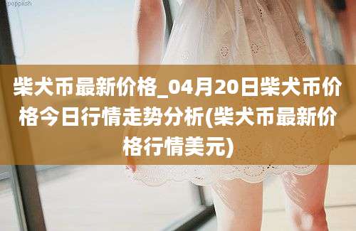 柴犬币最新价格_04月20日柴犬币价格今日行情走势分析(柴犬币最新价格行情美元)