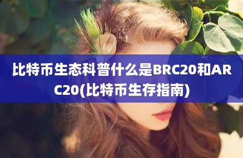 比特币生态科普什么是BRC20和ARC20(比特币生存指南)