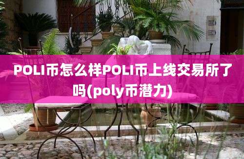 POLI币怎么样POLI币上线交易所了吗(poly币潜力)