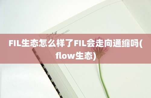 FIL生态怎么样了FIL会走向通缩吗(flow生态)