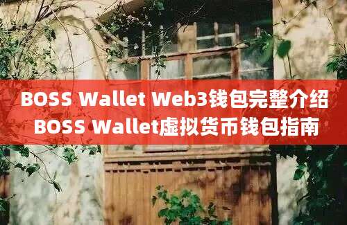 BOSS Wallet Web3钱包完整介绍 BOSS Wallet虚拟货币钱包指南