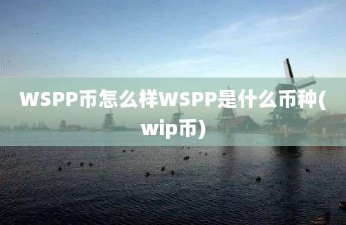 WSPP币怎么样WSPP是什么币种(wip币)