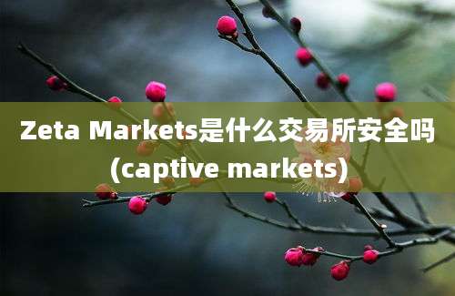 Zeta Markets是什么交易所安全吗(captive markets)