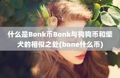 什么是Bonk币Bonk与狗狗币和柴犬的相似之处(bone什么币)