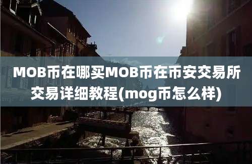 MOB币在哪买MOB币在币安交易所交易详细教程(mog币怎么样)